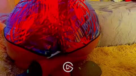 Snapshot of dankshepp chatting on January 2025 08:45:01 PM dandeb online show from January 2025 08:45:01 PM