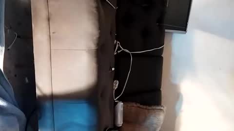 Snapshot of dankshepp chatting on September 2025 06:19:01 PM dandeb online show from September 2025 06:19:01 PM