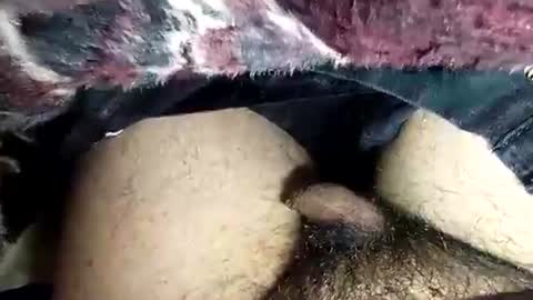 dansweetie_20 online show from February 2026 10:27:02 PM