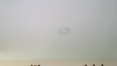 Dante online show from February 2025 08:55:02 PM