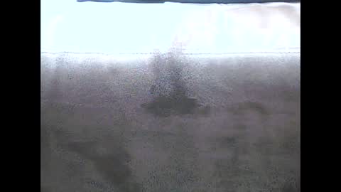 Snapshot of danyvdh chatting on December 2024 08:51:02 AM danyvdh online show from December 2024 08:51:02 AM