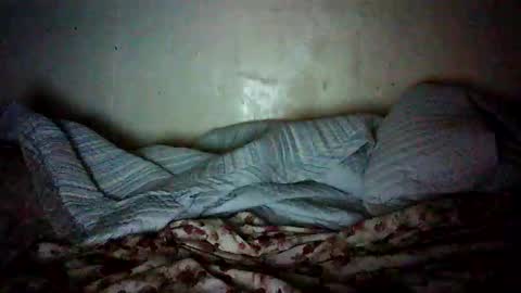 daphne online show from February 2026 07:08:02 AM