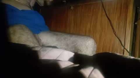 dario48 online show from December 2024 03:47:02 AM