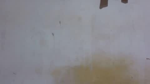 dark_princess1 online show from November 2025 06:29:01 PM