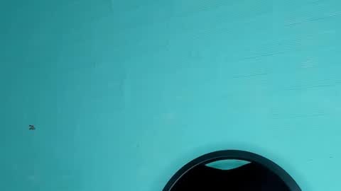 Snapshot of dasne19 chatting on March 2025 08:48:01 PM Dafne online show from March 2025 08:48:01 PM