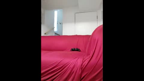 Snapshot of dave3891 chatting on February 2026 01:18:02 PM dave3891 online show from February 2026 01:18:02 PM