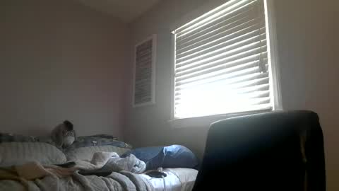 Snapshot of daveishorny1988 chatting on June 2026 06:09:02 PM daveishorny1988 online show from June 2026 06:09:02 PM
