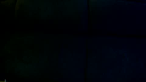 Snapshot of davesbabe14 chatting on December 2024 04:25:02 PM Sophie Dave online show from December 2024 04:25:02 PM