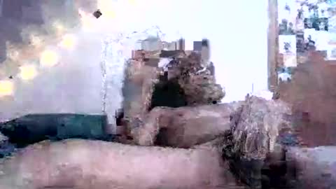 David Berry online show from February 2025 02:10:02 PM