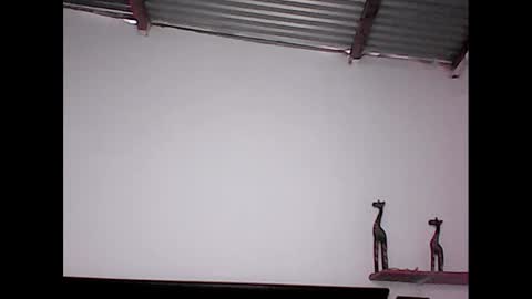 Snapshot of david_stuart07 chatting on January 2025 08:50:02 PM davidstuart online show from January 2025 08:50:02 PM