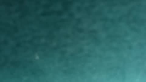 Snapshot of davidf75 chatting on November 2025 09:42:02 AM davidf75 online show from November 2025 09:42:02 AM