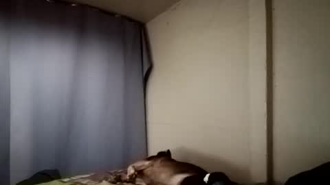 Snapshot of davidjose1995 chatting on December 2024 04:18:01 AM Juice cock online show from December 2024 04:18:01 AM