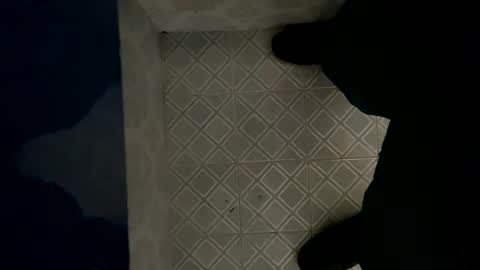 Snapshot of davzsoher chatting on January 2025 08:07:02 PM davzsoher online show from January 2025 08:07:02 PM