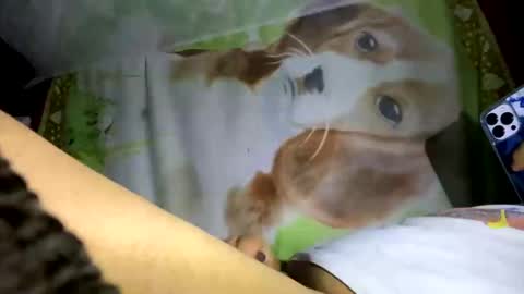 Snapshot of davzsoher chatting on January 2025 02:04:01 AM davzsoher online show from January 2025 02:04:01 AM