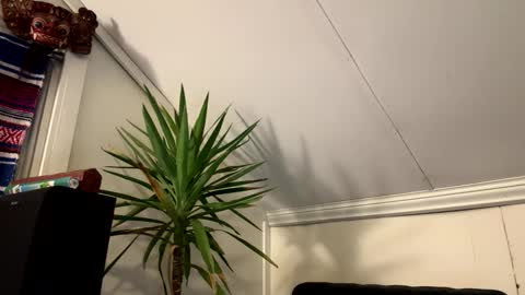 dayblue online show from March 2026 02:58:01 AM