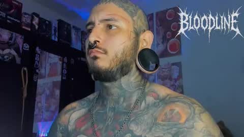    online show from November 2025 06:41:02 PM