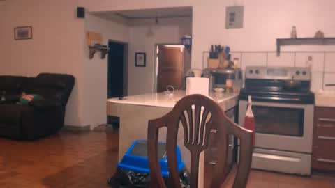 Snapshot of debbie_n_paul chatting on November 2025 05:28:02 AM Paul Fitz online show from November 2025 05:28:02 AM