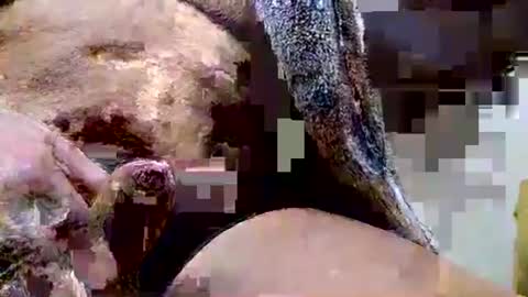 Dive Deep online show from December 2025 06:45:02 PM