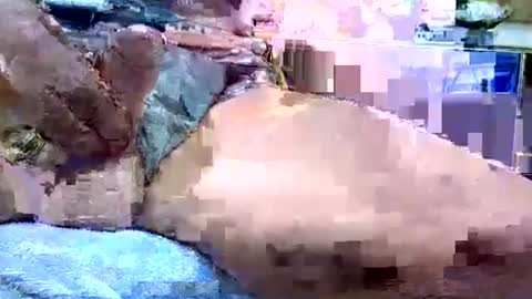 Dive Deep online show from January 2026 12:14:02 AM