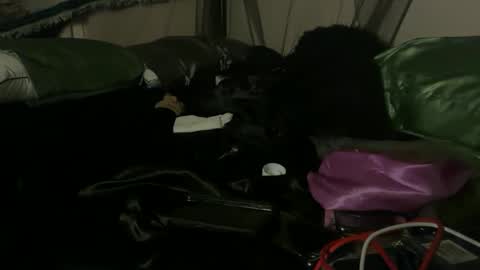 delightfuldark online show from October 2025 11:07:01 AM