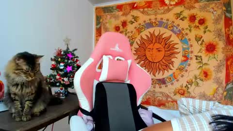 demeter__ online show from December 2024 04:53:02 PM