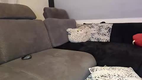 Denise and Brad online show from November 2025 05:13:01 PM