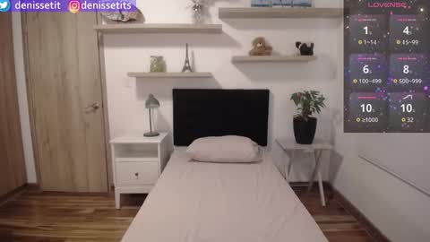 Snapshot of denissetits chatting on October 2025 08:28:01 PM online show from October 2025 08:28:01 PM