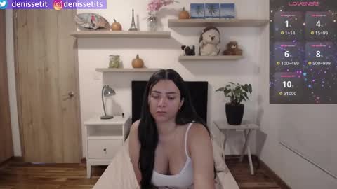 Snapshot of denissetits chatting on November 2025 02:28:01 PM online show from November 2025 02:28:01 PM