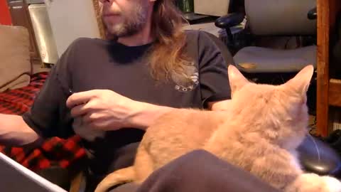 desolation2012 online show from November 2025 04:58:02 AM