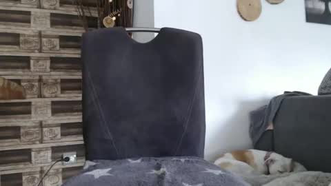 Snapshot of despotar123 chatting on October 2025 11:18:02 AM despotar123 online show from October 2025 11:18:02 AM