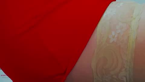 Snapshot of devilishpuss chatting on January 2025 02:24:02 PM AlexaMills online show from January 2025 02:24:02 PM