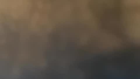 Snapshot of dgaf408 chatting on May 2026 12:17:01 AM dgaf408 online show from May 2026 12:17:01 AM