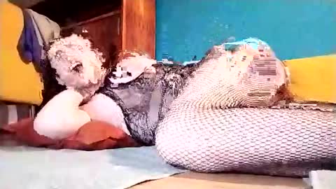 Dicky online show from March 2025 07:15:02 PM