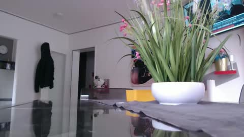 Snapshot of didiegal1 chatting on February 2026 12:48:02 PM squirtcock online show from February 2026 12:48:02 PM