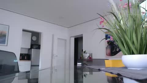 Snapshot of didiegal1 chatting on February 2026 12:21:01 PM squirtcock online show from February 2026 12:21:01 PM