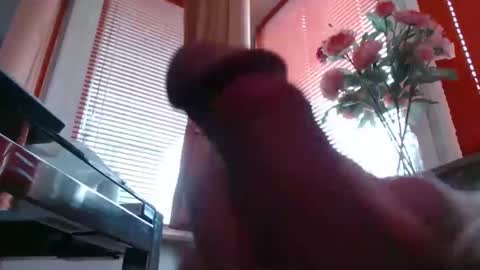 Snapshot of didiegal1 chatting on February 2026 09:07:02 AM squirtcock online show from February 2026 09:07:02 AM