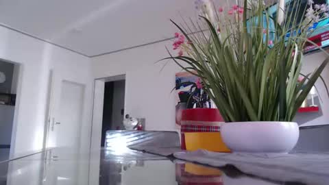 Snapshot of didiegal1 chatting on March 2026 09:16:01 AM squirtcock online show from March 2026 09:16:01 AM