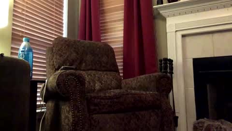 Snapshot of diegodavids chatting on January 2025 03:55:02 PM diegodavids online show from January 2025 03:55:02 PM