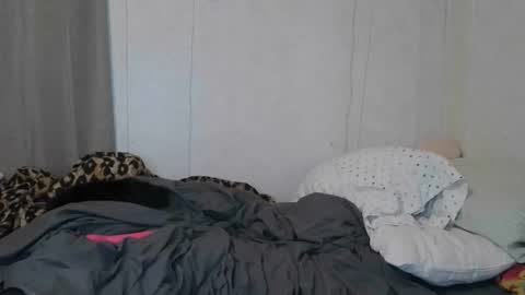 Sofie online show from January 2026 08:49:01 AM