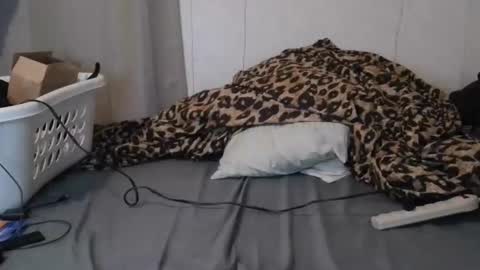 Sofie online show from January 2026 06:28:02 AM