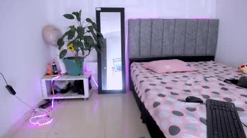 DINA online show from November 2025 10:41:01 PM