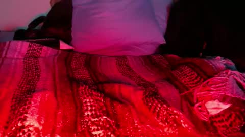 Snapshot of dino9999999 chatting on February 2026 01:05:02 AM dino9999999 online show from February 2026 01:05:02 AM