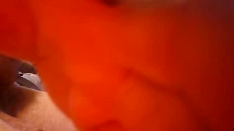 DIPSTIK online show from January 2026 03:28:02 PM