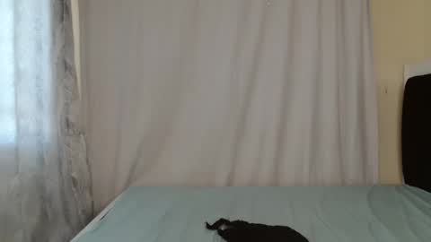 Snapshot of disah_002 chatting on May 2026 11:18:01 AM disah_002 online show from May 2026 11:18:01 AM