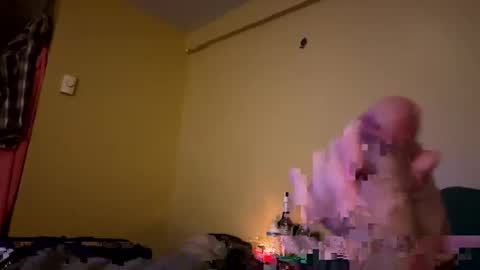 dnice69968127 online show from January 2025 12:59:01 AM