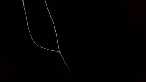 Snapshot of doctor_luv_69 chatting on January 2025 09:20:01 PM doctor_luv_69 online show from January 2025 09:20:01 PM