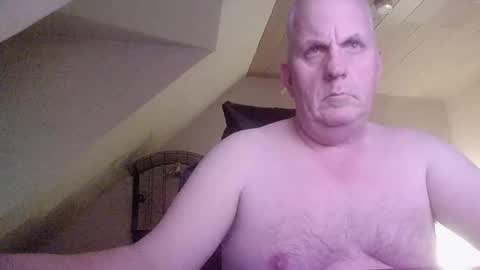 doggy2629 online show from December 2025 04:55:02 PM