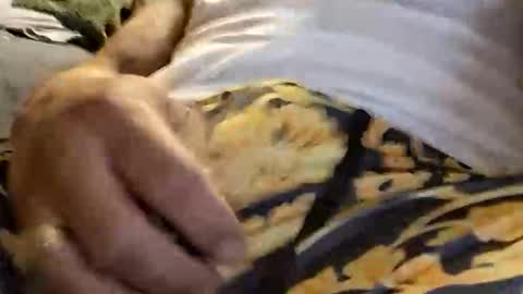 doingthisagain78177277 online show from January 2026 10:41:01 AM