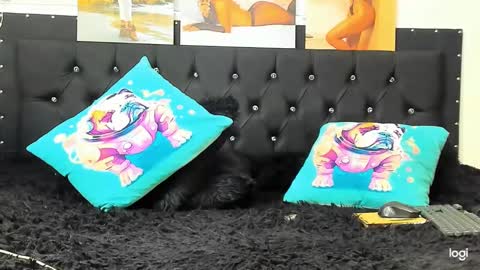 C E L E S T E  online show from December 2024 04:06:01 PM