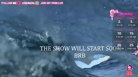 I WILL BE BACK ON WEDNESDAY DECEMBER 4 0100AM COLOMBIA TIME    online show from March 2025 09:58:02 AM